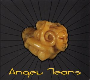 Angel Tears, Volume 1