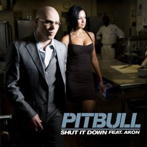 Shut It Down (Single)