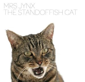 The Standoffish Cat