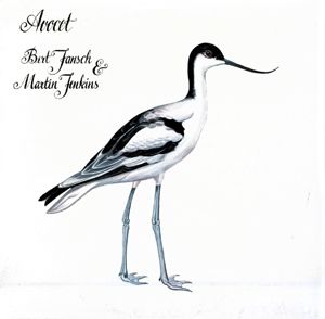 Avocet