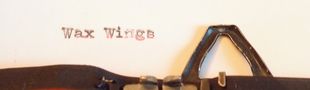 Pochette Wax Wings