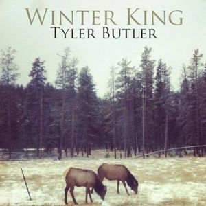 Feral Horse (Winter King Version)
