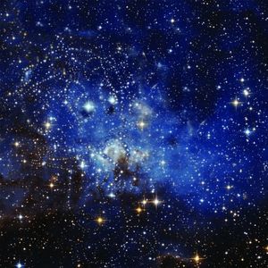 Lessons of Darkness (Apology)