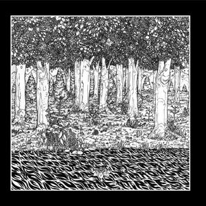 Through the Trees (EP)