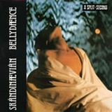 Pochette Stringdance (Dream Shot)