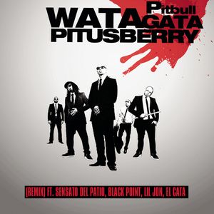 Watagatapitusberry (remix)