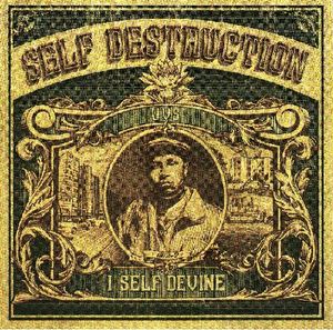 Self Destruction