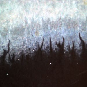 Scars of the Shattered Sky (Single)