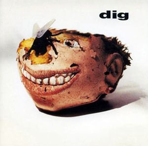 Dig