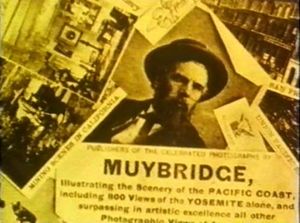 Eadweard Muybridge, Zoopraxographer