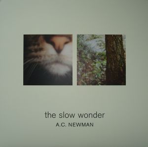 The Slow Wonder