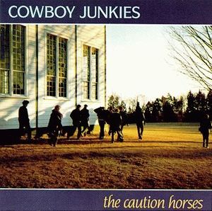 The Caution Horses