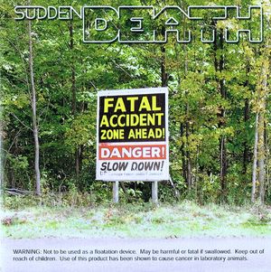 Fatal Accident Zone