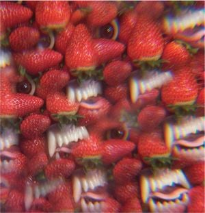 Strawberries 1+2