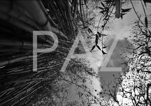 Paz (Single)