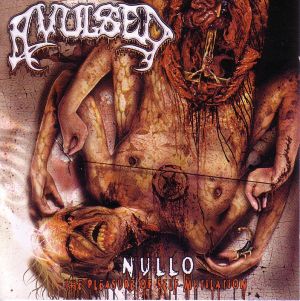 Nullo (The Pleasure of Self-Mutilation)