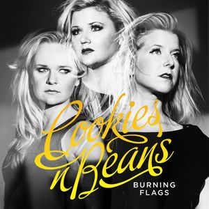 Burning Flags (karaoke version)