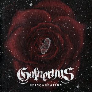 Reincarnation