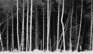 Wilderness