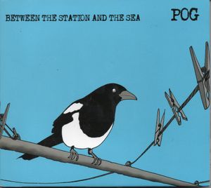 Magpies