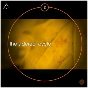 The Sidereal Cycle 2