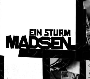 Ein Sturm (Single)