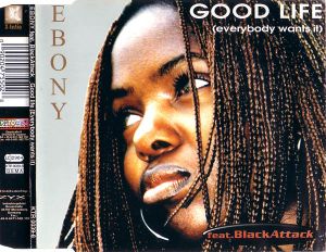 Good Life (Everybody Wants It) (Single)