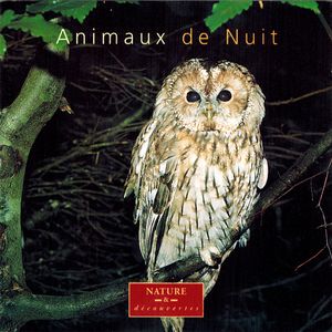 Animaux de Nuit