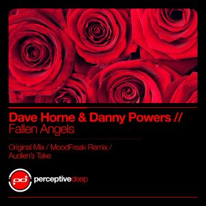 Fallen Angels (original mix)