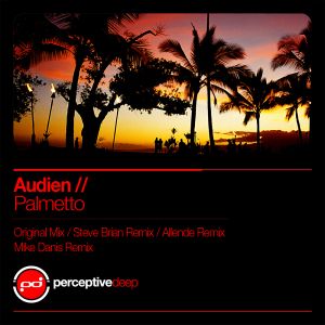 Palmetto (Steve Brian remix)