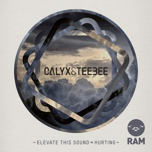 Elevate This Sound / Hurting (Single)