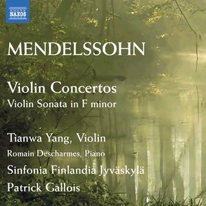 Violin Concerto in D Minor, MWV O 3: I. Allegro