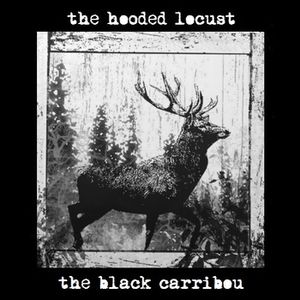 The Black Carribou