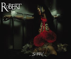 Sorry (Single)