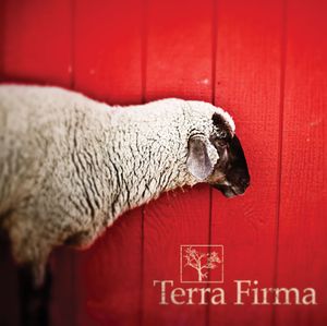 Terra Firma (remix by Bartel)