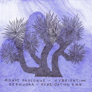 Hybridation (Single)