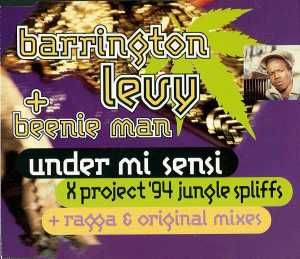 Under Mi Sensi (Jungle Spliff) (X-Project remix)