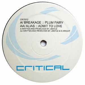 Plum Fairy / Admit to Love (Single)