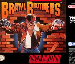 image-https://media.senscritique.com/media/000005399146/0/brawl_brothers.jpg