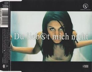 Du liebst mich nicht (Single)