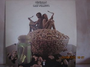 Salt Peanuts