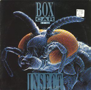 Insect (Single)