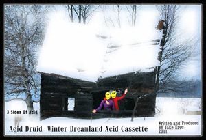 Winter Acid Dreamland Cassette