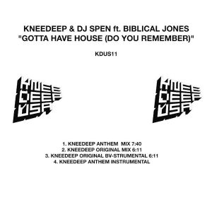 Gotta Have House (Do You Remember) (Single)