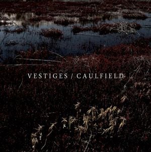 Vestiges / Caulfield (Single)