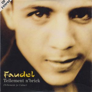 Tellement n'brick (Tellement je t'aime) (Single)