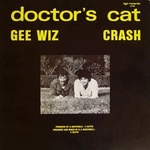 Gee Wiz / Crash (Single)