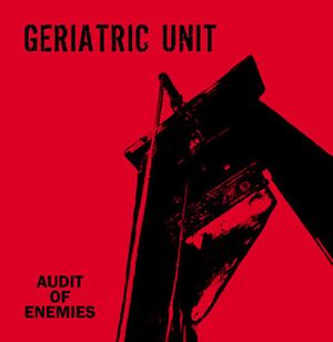 Audit of Enemies