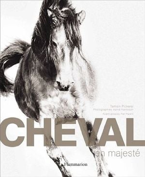 Cheval en Majesté