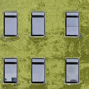 Olive Walls (Single)